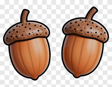 Two Cartoon Acorns PNG