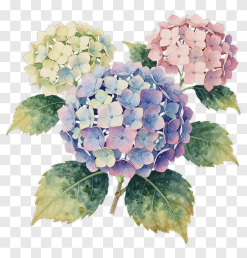 Delicate Hydrangea Bouquet PNG