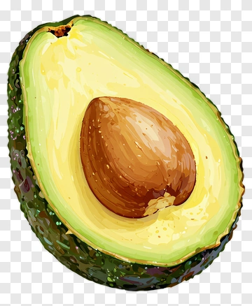 Hand-drawn Avocado Half PNG
