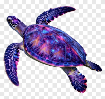 Colorful Sea Turtle PNG