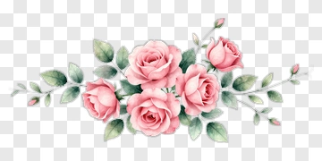 Pink Roses With Green Leaves PNG