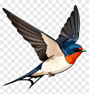 Cartoon Swallow In Flight PNG