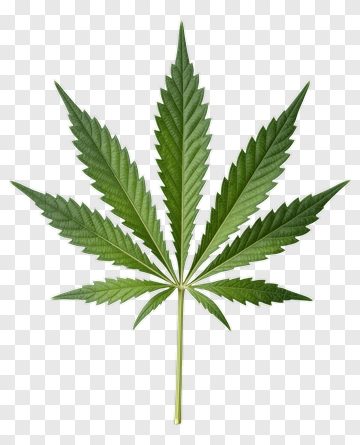 Cannabis Leaf PNG