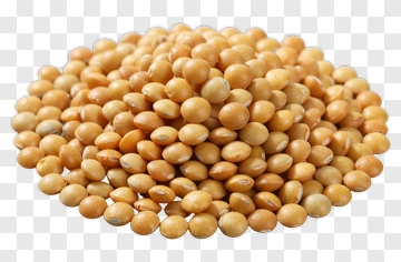 Yellow Lentils PNG