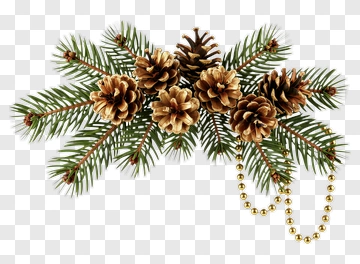 Pine Branches With Pinecones And Beads PNG