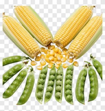 Fresh Corn And Peas PNG