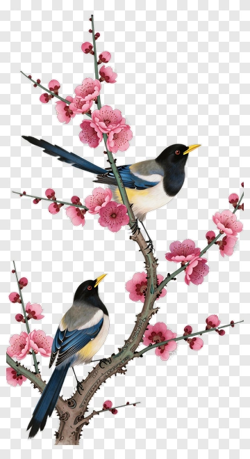 Two Magpies On Plum Blossom Branch PNG