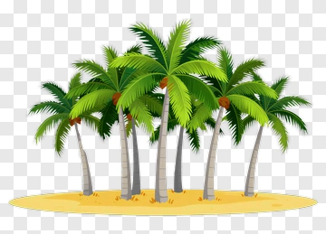 Palm Trees On A Beach PNG