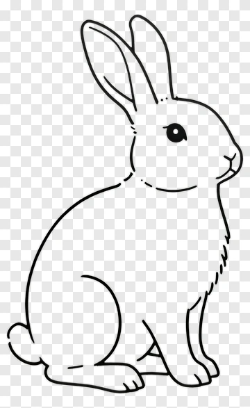 Rabbit Outline Drawing PNG