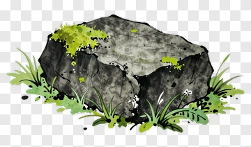 Rock With Moss And Grass PNG