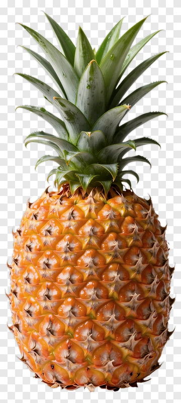 Fresh Pineapple PNG