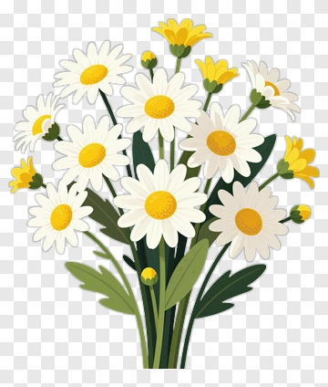 Daisy Flower Bouquet PNG