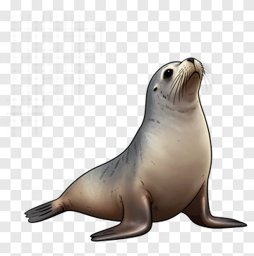 Seal PNG