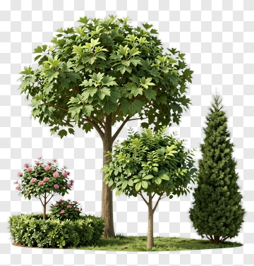 Lush Garden Trees And Flowers PNG