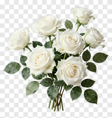 White Rose Bouquet PNG