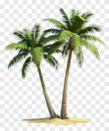 Two Palm Trees On Sandy Ground PNG