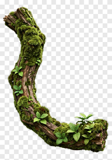 Mossy Branch With Small Plants PNG