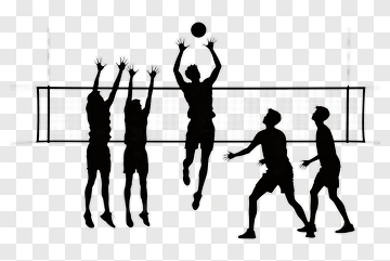 Volleyball Players In Action PNG