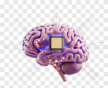 Brain With Integrated Chip PNG
