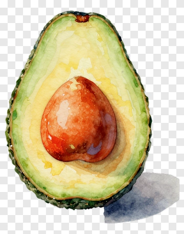 Watercolor Avocado Half PNG