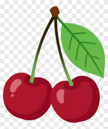 Two Cherries With Leaf PNG