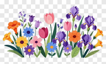 Colorful Flower Collection PNG