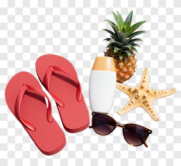 Beach Essentials With Pineapple And Starfish PNG