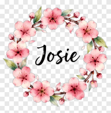 Josie Flower Wreath PNG