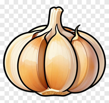 Garlic PNG