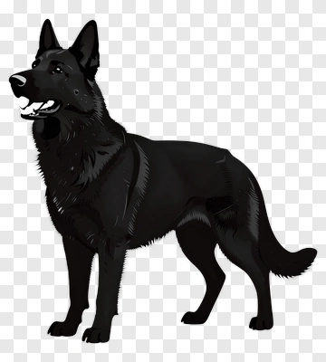 Black German Shepherd Standing PNG