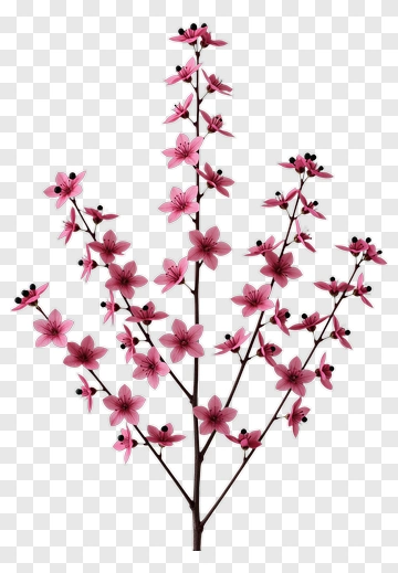 Pink Flower Branch With Black Berries PNG