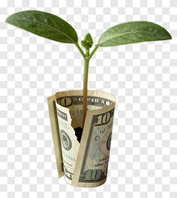 Plant Growing From Rolled Money PNG