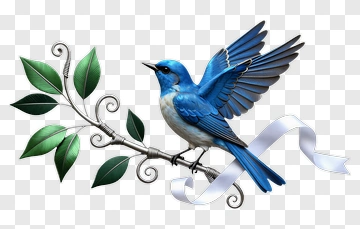 Blue Bird On Branch With Ribbon PNG