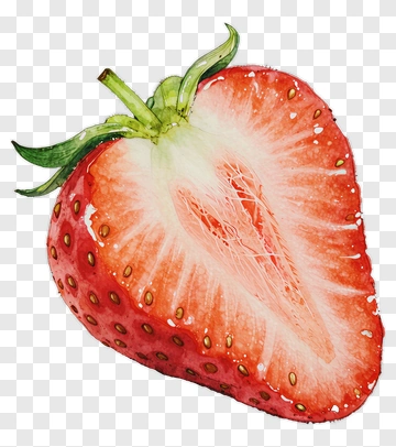 Sliced Strawberry Watercolor Illustration PNG