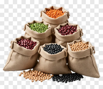 Assorted Beans In Burlap Sacks PNG