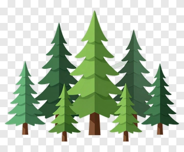 Flat Pine Trees Illustration PNG