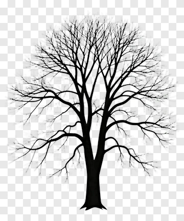 Silhouette Of A Bare Tree PNG