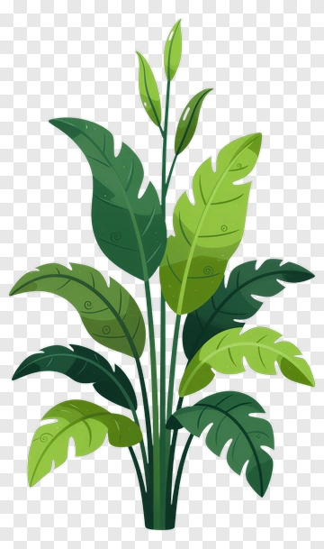 Tropical Plant With Green Leaves PNG