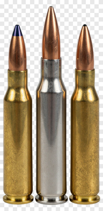 Three Different Bullets PNG