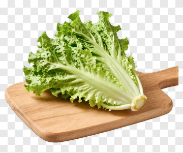Fresh Lettuce On Wooden Cutting Board PNG