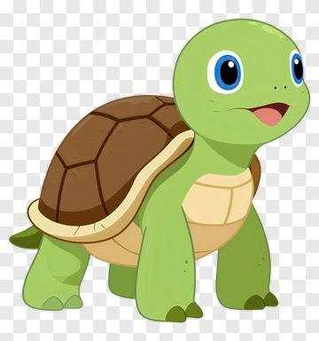 Cute Green Turtle PNG