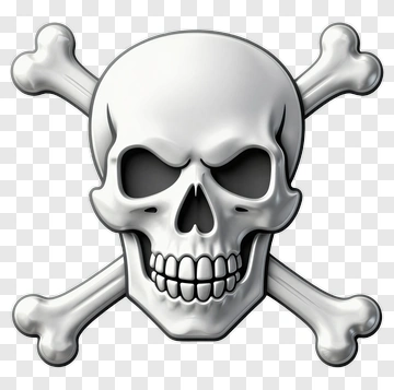 Silver Skull And Crossbones PNG