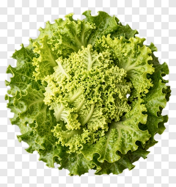 Romanesco Broccoli Top View PNG
