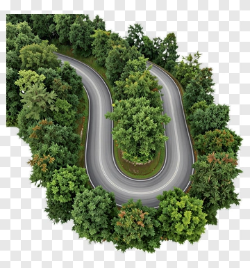 Curved Road Through Dense Forest PNG