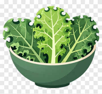 Fresh Kale In A Bowl PNG