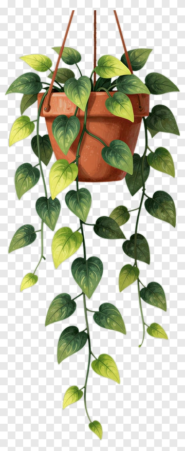 Hanging Green Plant In Terracotta Pot PNG