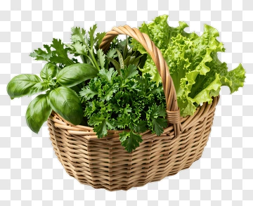 Fresh Herbs In Woven Basket PNG