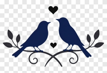 Two Birds With Heart On Branch PNG