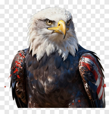 Bald Eagle With American Flag Wings PNG