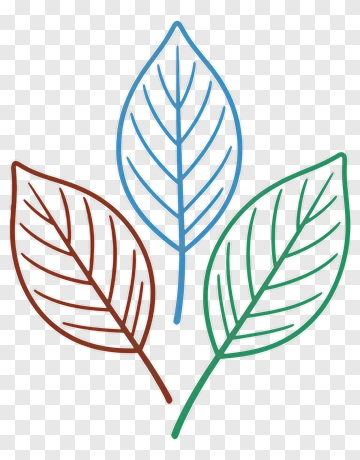 Three Colored Leaves PNG